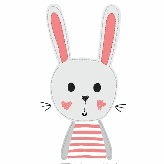 The Pink Rabbit Design