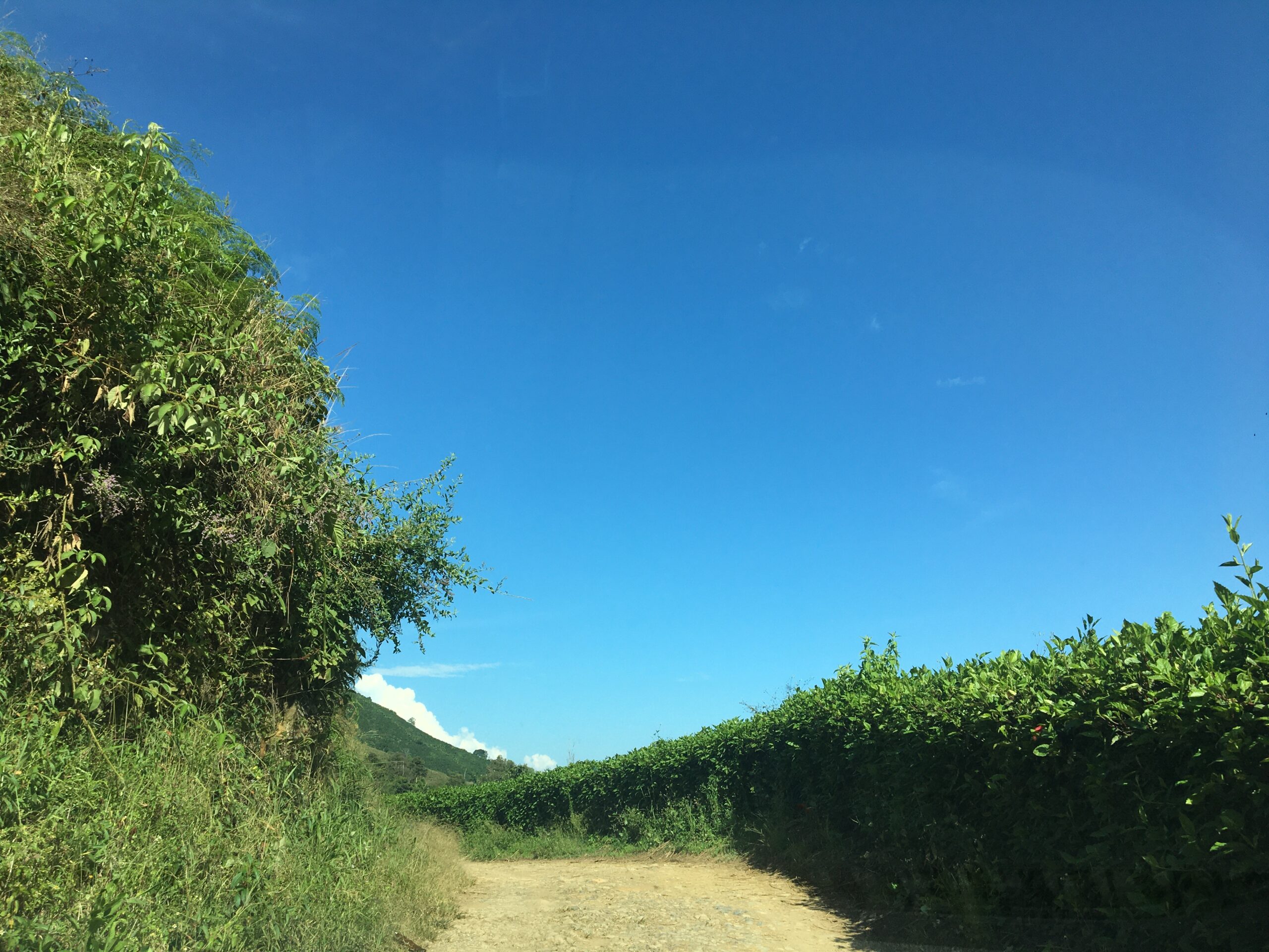 Carretera