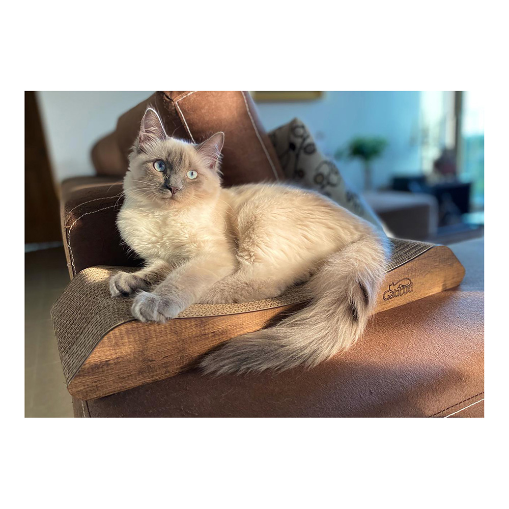 GATITUD rascador SOFA 010