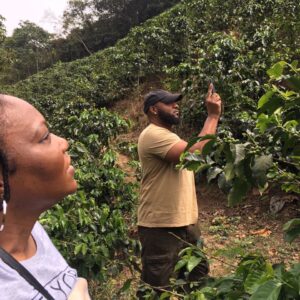 Express Coffee Tour