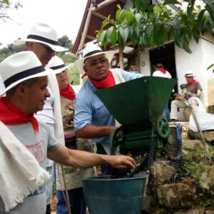 Palmitas Coffee Tour