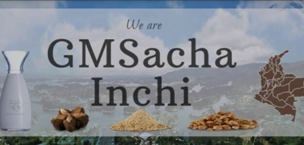 GMSacha Inchi