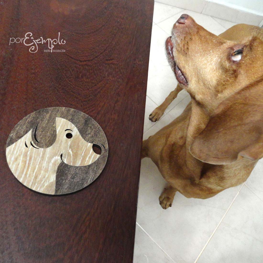 perros